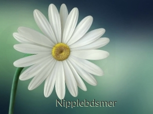 Nipplebdsmer