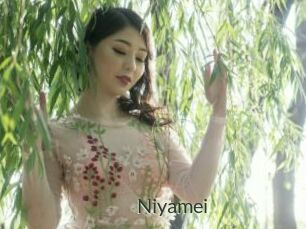 Niyamei