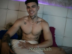 noahmush Ejaculator