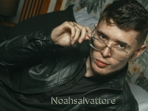Noahsalvattore