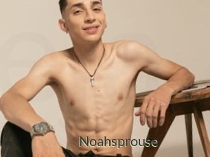 Noahsprouse