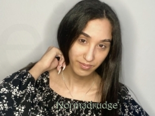 Normadrudge