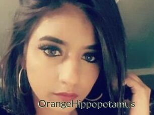 OrangeHippopotamus