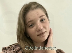 Odelindahedge