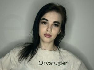 Orvafugler