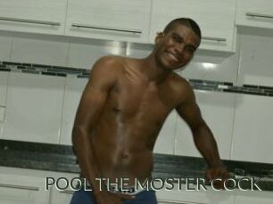 POOL_THE_MOSTER_COCK