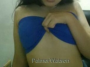 PalmerWatson