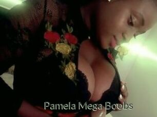 Pamela_Mega_Boobs