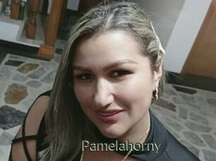 Pamelahorny