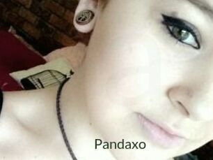 Pandaxo