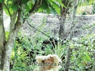 Pandora_Apple
