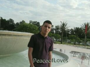 PeaceofLoves