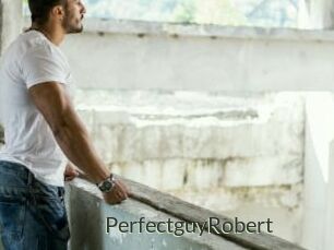PerfectguyRobert