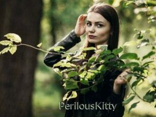 Perilous_Kitty