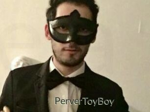 PerverToyBoy