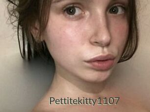 Pettitekitty1107