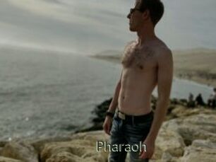 Pharaoh