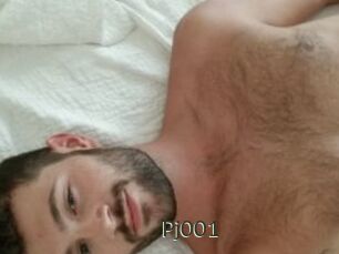 Pj001
