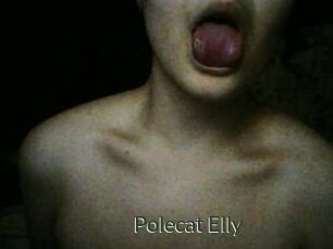 Polecat_Elly
