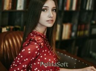 PolinaSoft