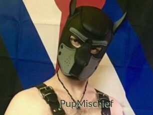 PupMischief