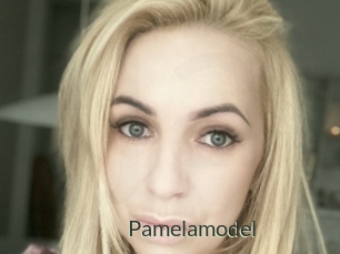 Pamelamodel