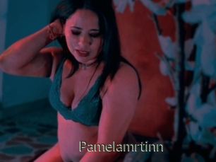 Pamelamrtinn