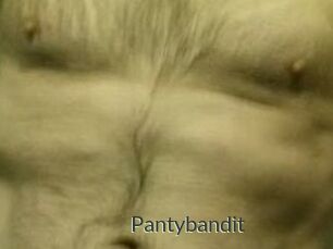 Pantybandit