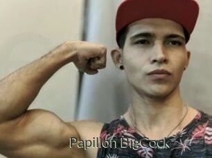 Papillon_BigCock