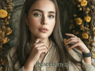 Peacebunyan