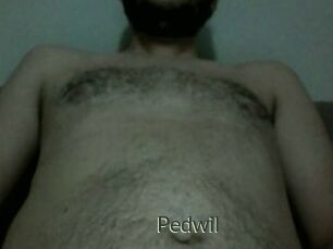 Pedwil
