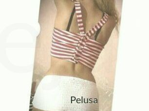 Pelusa