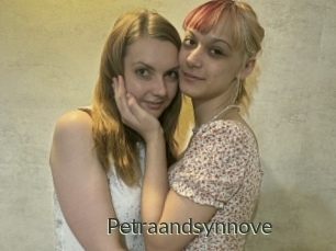 Petraandsynnove