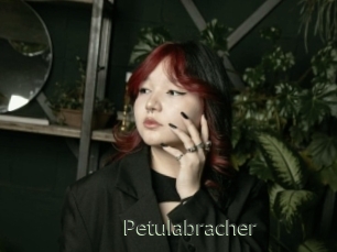 Petulabracher