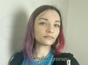 Petulacrammer