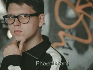 Phoenixzorg