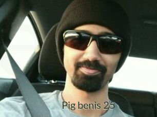 Pig_benis_25