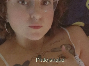 Pinkysnake