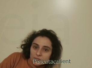 Pisicutacalient