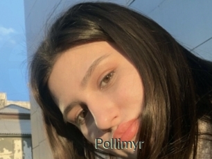 Pollimyr