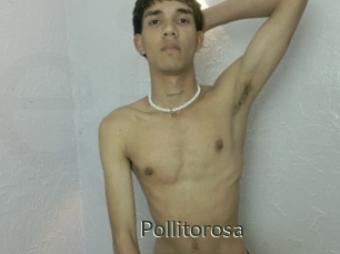 Pollitorosa