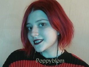 Poppyblom