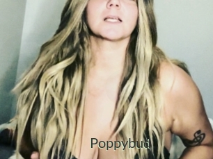Poppybud