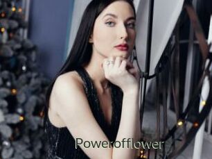Powerofflower