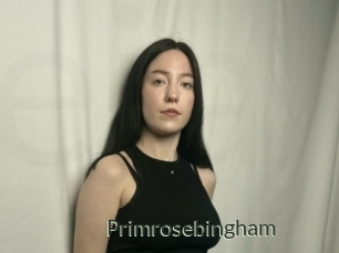 Primrosebingham