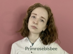 Primrosebisbee