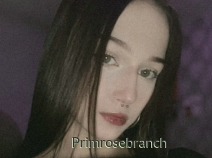 Primrosebranch