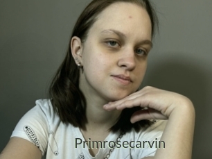 Primrosecarvin