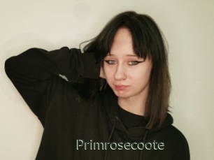 Primrosecoote