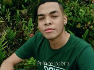 Prince_cobra